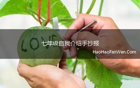 七年级自我介绍手抄报