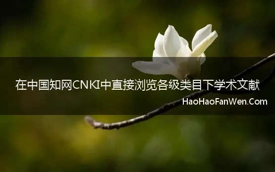 在中国知网CNKI中直接浏览各级类目下学术文献