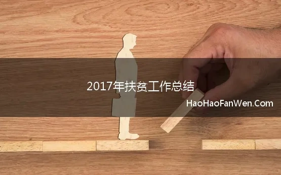 2017年扶贫工作个人总结