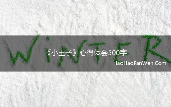 《小王子》心得体会500字