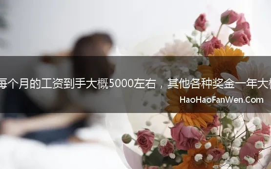 宁波公务员每个月的工资到手大概5000左右，其他各种奖金一年大概有9万左右