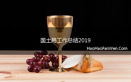 国土局工作总结2019