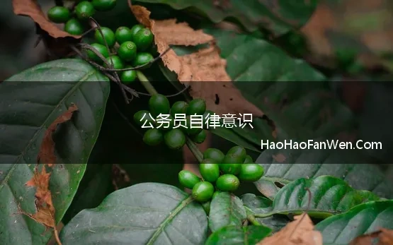 公务员自律意识 申论范文:强化公务员责任意识