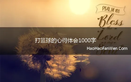 打篮球的心得体会1000字