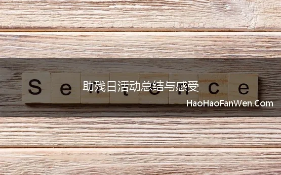 助残日活动总结与感受(助残日活动总结500字)