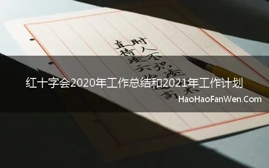 红十字会2020年工作总结和2021年工作计划