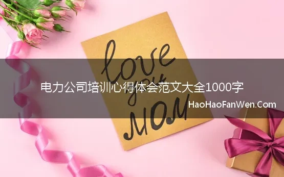 电力公司培训心得体会范文大全1000字