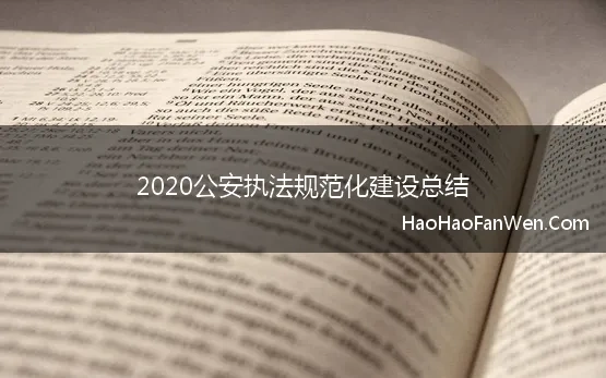 2020公安执法规范化建设总结 持之以恒深化执法规范化