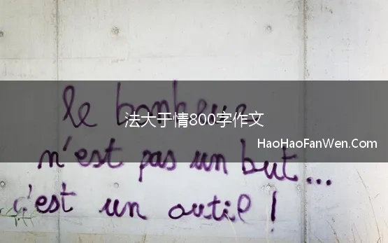 法大于情800字作文(法与情800字议论文2022)