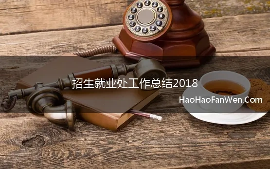 招生就业处工作总结2018