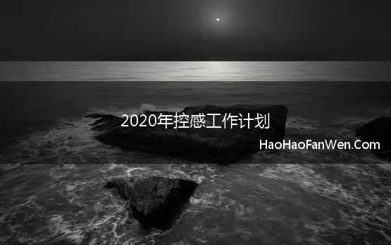 2020年控感工作计划