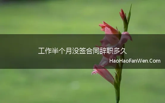 工作半个月没签合同辞职多久