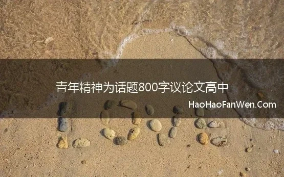 青年精神议论文作文800字