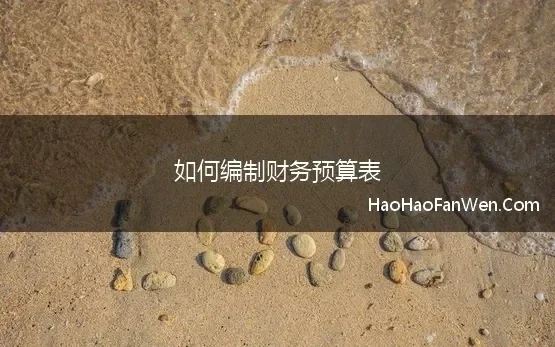 资金预算总结