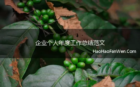 公司个人年度工作计划范文