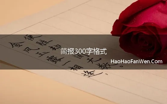 简报300字格式