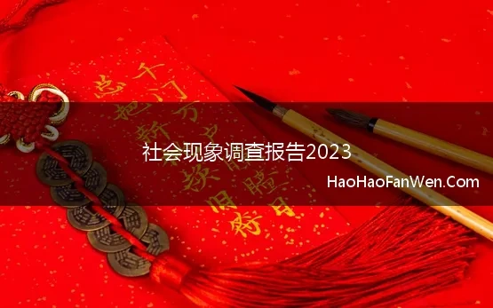 中国社会现象调查报告