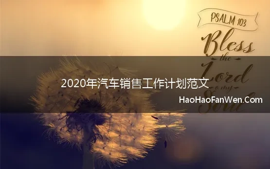 2020年汽车销售工作计划