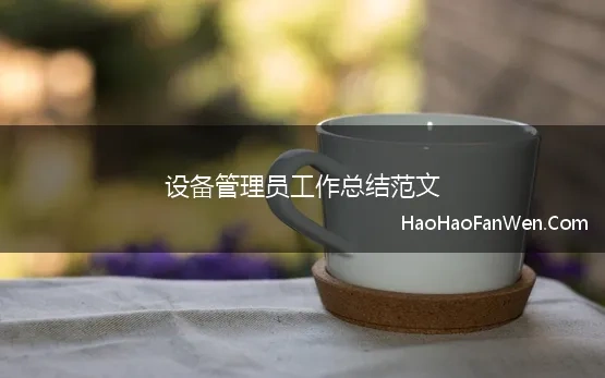 设备管理员工作总结范文