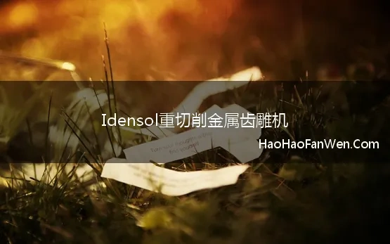 Idensol重切削金属齿雕机