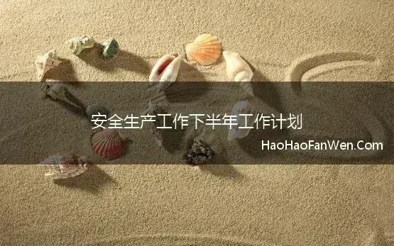 安管下半年工作计划