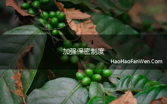 加强保密制度 保密工作制度范文