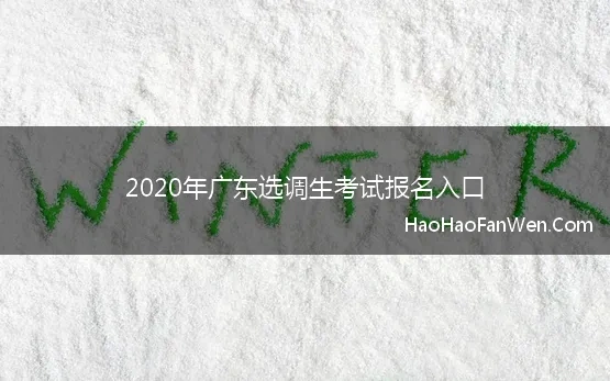 2020年广东选调生考试报名入口