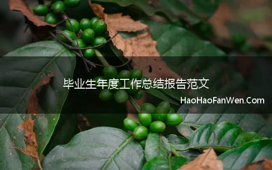 毕业生个人工作总结范文