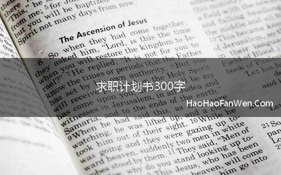 求职计划书300字