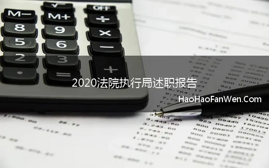 2020法院执行局述职报告