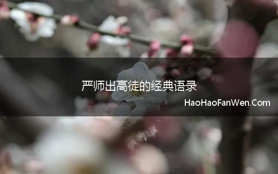 严师出高徒的经典语录