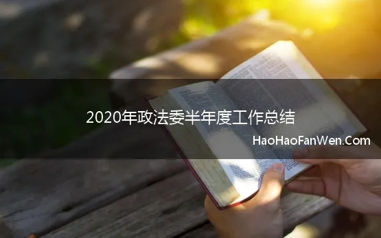 2020年度政法工作计划