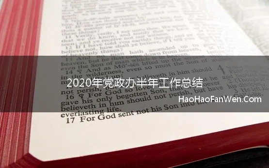 2020年党政办半年工作总结