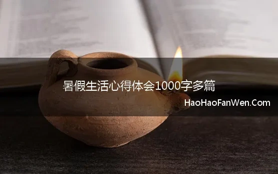 暑假生活心得体会1000字