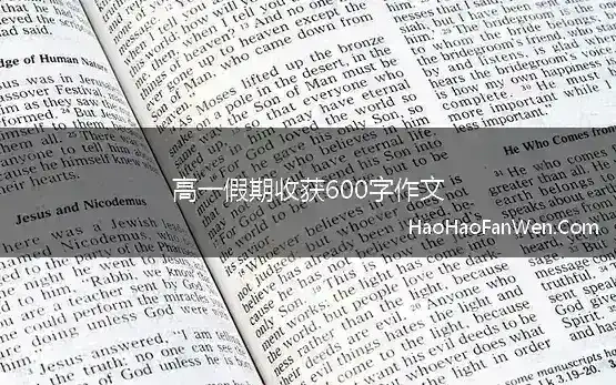 高一假期收获600字作文