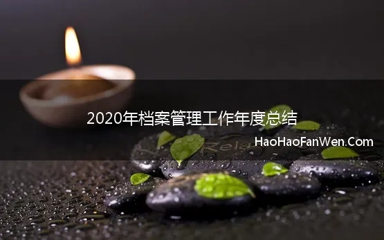 2020年档案管理工作年度总结