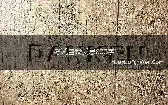 考试自我反思800字