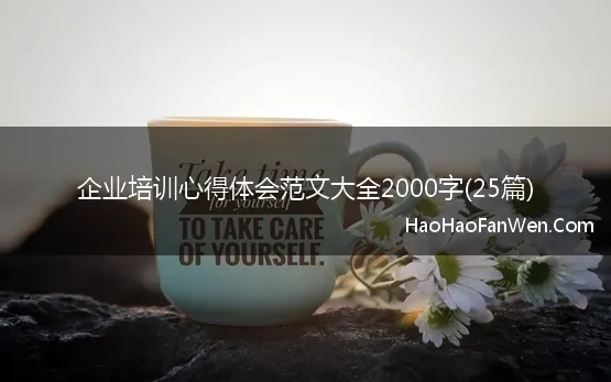 企业培训心得体会范文大全2000