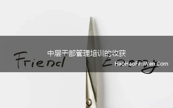 中层干部管理培训的收获(中层干部管理培训心得体会6)