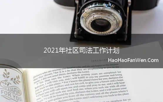 2020年社区司法工作计划