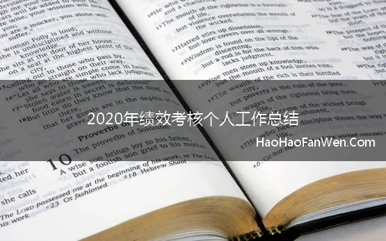 2020年绩效考核个人工作总结