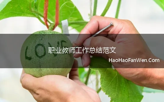 职教教师的教学工作总结