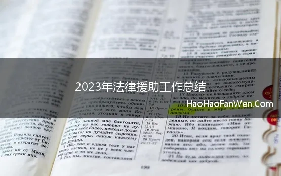 2023年法律援助工作总结