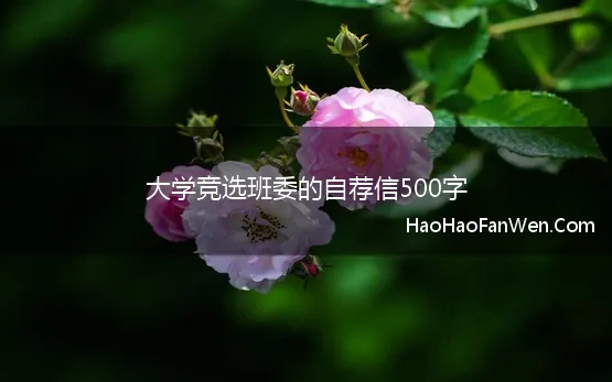 大学竞选班委的自荐信500字