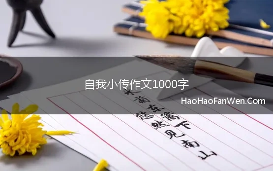 自我小传作文1000字