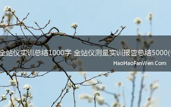 测量全站仪实训总结1000字 全站仪测量实训报告总结5000(七篇)