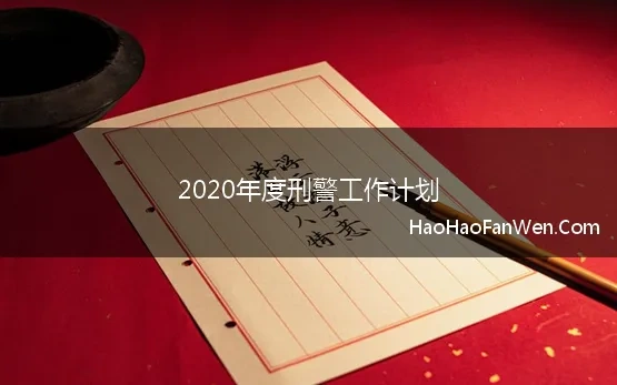 2020年度刑警工作计划