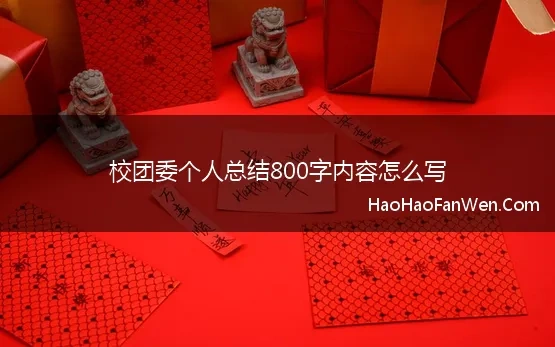 校团委个人总结800字内容怎么写