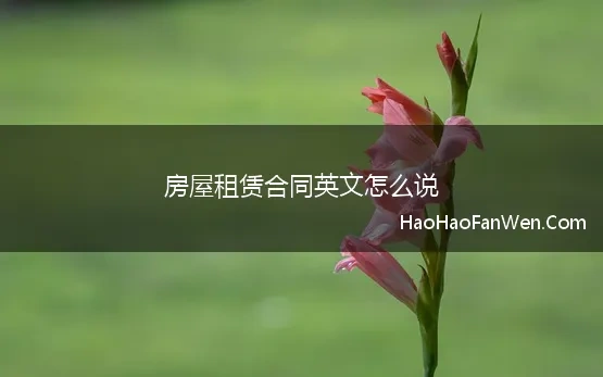 房屋租赁合同英文怎么说