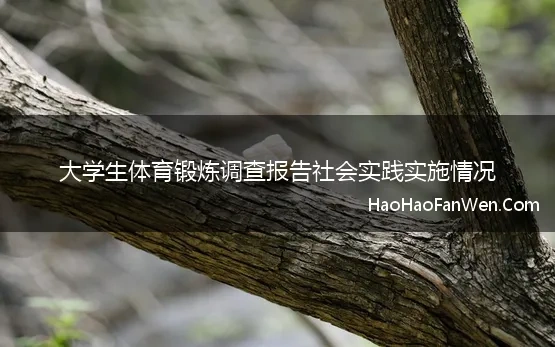 大学生体育锻炼调查报告社会实践实施情况